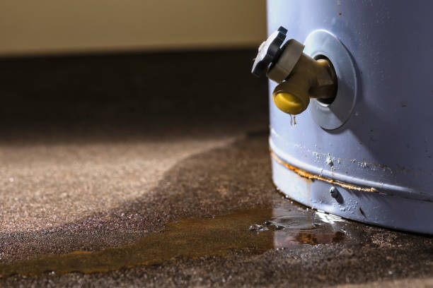 Best 24/7 water damage repair  in Lawson, MO