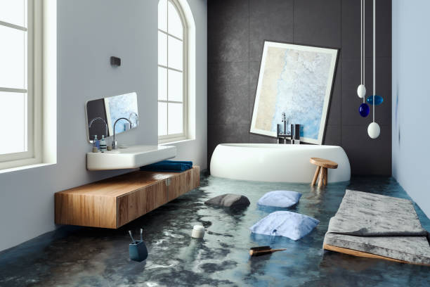 Best Mold removal after water damage  in Lawson, MO