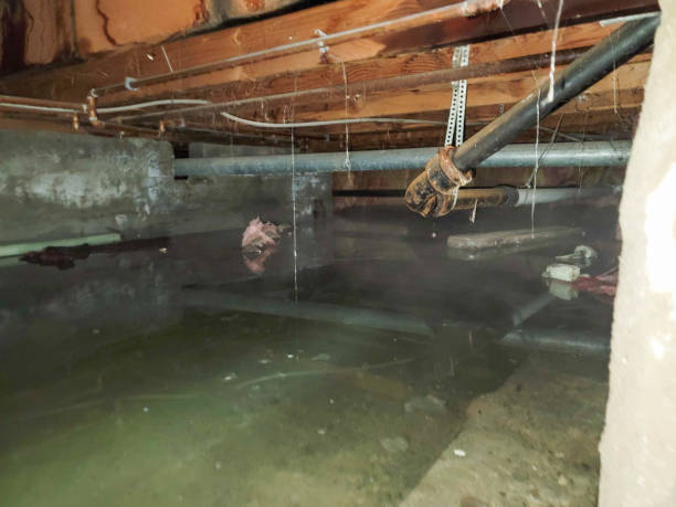 Best 24-hour water damage restoration  in Lawson, MO