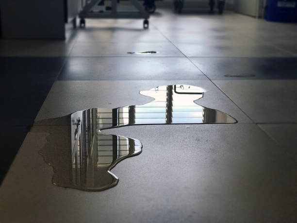 Best Water damage restoration company  in Lawson, MO