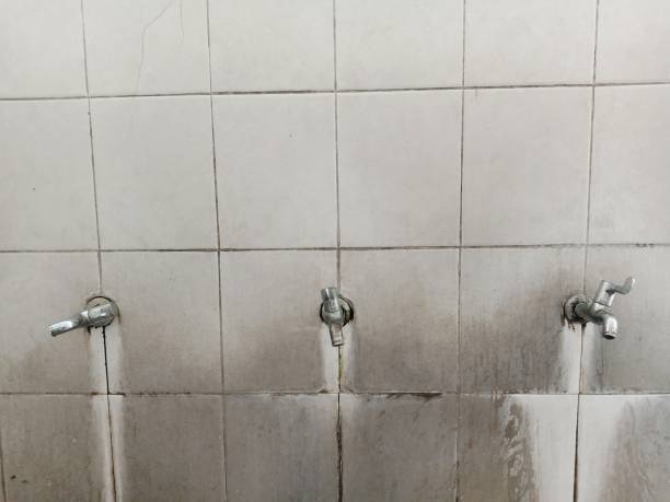 Carpet water damage restoration in Lawson, MO